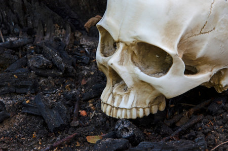 Scared white skull on man after burningの写真素材