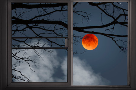 Big red wolf moon behind black branches in window viewの写真素材