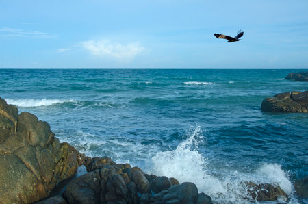 Big rocks and impacted waves in the sea