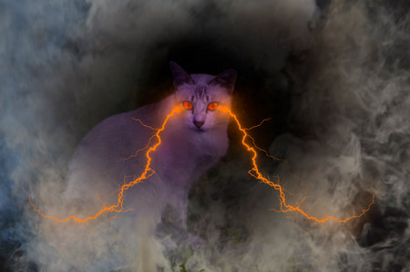 Mystery cat with power lightning from eyes in smokeの写真素材