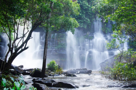 Beautiful white waterfall and green trees on rock cliff in forest in national park in Thailand