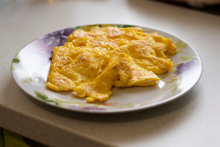 Plate with delicious fluffy omlette with cheese interior and very well roasted sits on a kitchen frontの写真素材