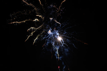 Multicolored fireworks exploding on the sky for New Year Celebration