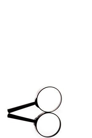 cedar pine cone isolated on white backgroundの写真素材