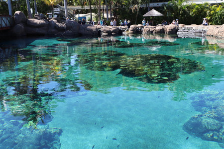 sea-life in sea world Gold Coast, Australiaのeditorial素材