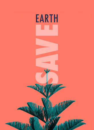 Save Earth awareness on Earth day with a top part of a Norfolk Island Pine tree (Araucaria heterophylla), in a minimal style, standing against peach color background.の写真素材