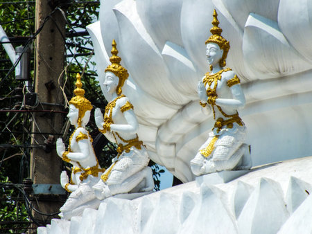 Jedi Temple dossier 3の写真素材