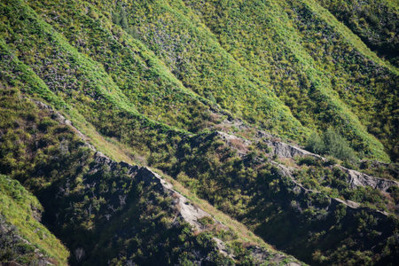 Curve of Mt Bratok, East Java, Indonesia