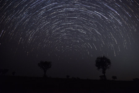 Beautiful star trail during the night  in the summer of 2016 in the Thailand