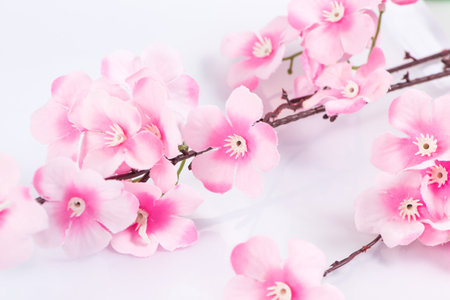 The plastic sakura on white background, isolatedの写真素材