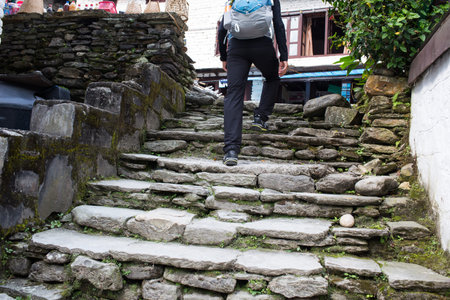 The traveler's walking on the way to Annapurna base camp at Himalaya Nepal