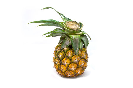 Pineappleの写真素材