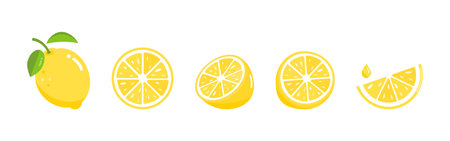 Vector illustration of lemon for summerのイラスト素材