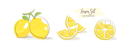 Vector illustration of lemon for summerのイラスト素材