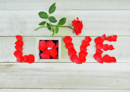 Word love written with rose petals, red rose  and box with single stone ring on wooden backgroundの写真素材