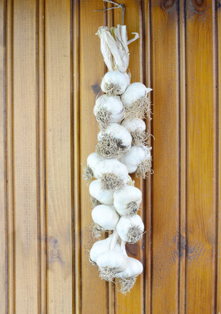 Garlic hanged on wooden wallの写真素材