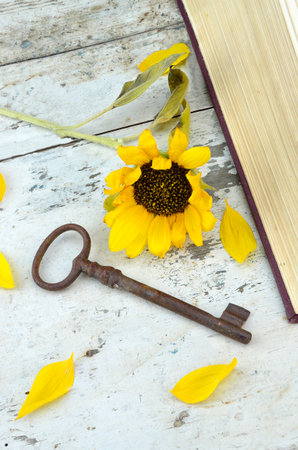 Old rusty key and sunflower on a wooden old tableの写真素材