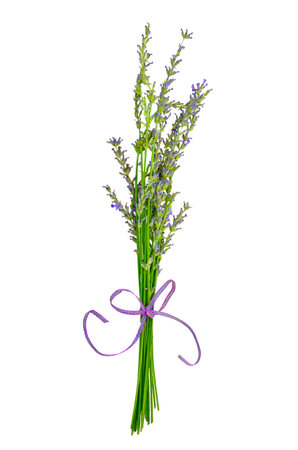 Small bouquet of lavender flowersの写真素材