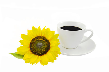 Sunflower and cup of coffee isolated on white backgroundの写真素材