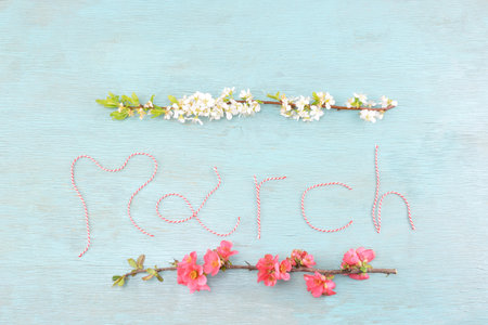 The word march written with red and white cord and two branches of  of blossom tree on  turqoise backgroundの写真素材