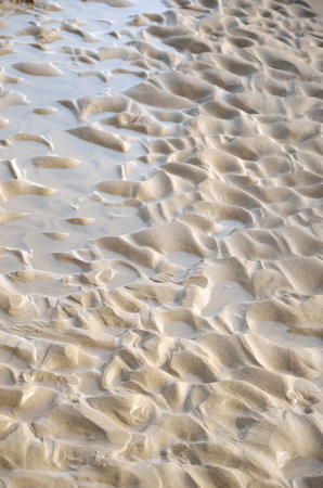 Abstract background  of thin wet sand
