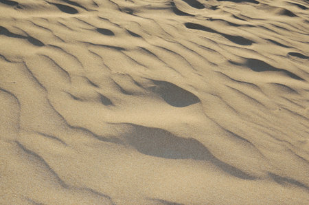 Background of a wavy beach sand
