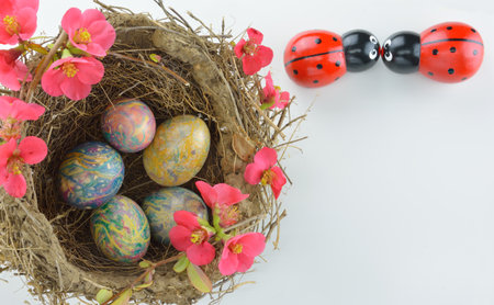Bird nest decorated with flowers, Easter eggs and ladybugs ornaments on white background