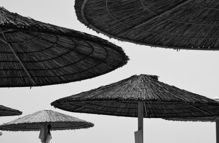 Straw beach umbrellas in black and whiteの写真素材