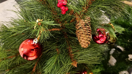 Decorate on Christmas tree.の写真素材
