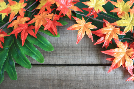 Maple leaf decorate on wood plate background 