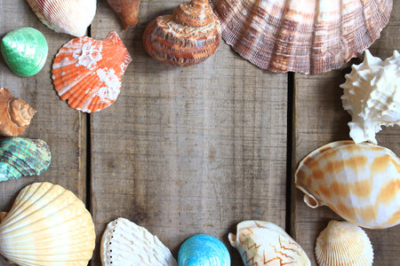 Topview frame create from sea shell on wood plate.の写真素材