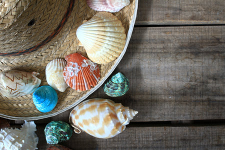 Sea shell and hat decorate on wood plate,have space for idea
