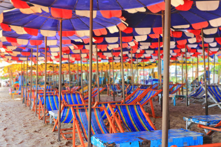 Seat on the beach                                の写真素材