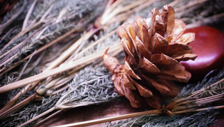 Pine cone on leaves under christmas tree