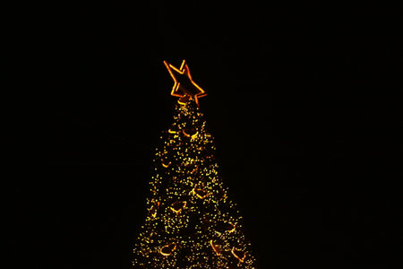 Bokeh night lighting chirstmas tree