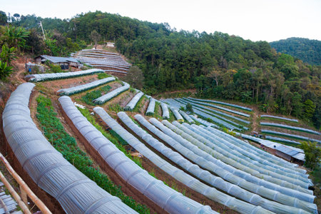 Landscape of Greenhouse and Mountainの写真素材