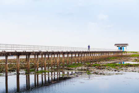 Lonely Man on the Bridge at Lake in Thailandの写真素材
