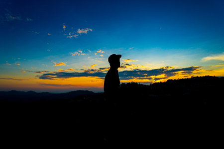 Silhouette Man Standing on Hill with  Cap at the Sunset on Mountain with Blue Sky. Enjoying Peaceful Moment Concept. Relaxing or achievement Concept.の写真素材