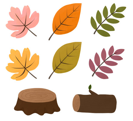 Autumn leaves set. Vector illustration isolated on a white background.のイラスト素材