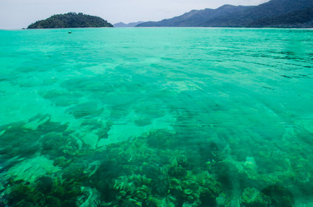 sea and underwaterの写真素材
