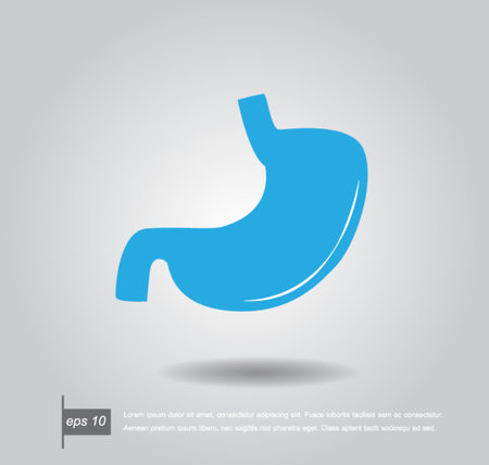 Human stomach vector iconのイラスト素材