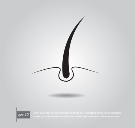 skin hair layer illustration vectorのイラスト素材