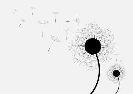 dandelionのイラスト素材