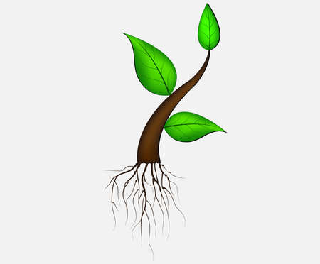 illustration of plant sapling growing on abstract backgroundのイラスト素材