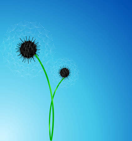 The vector dandelion on the integrityのイラスト素材