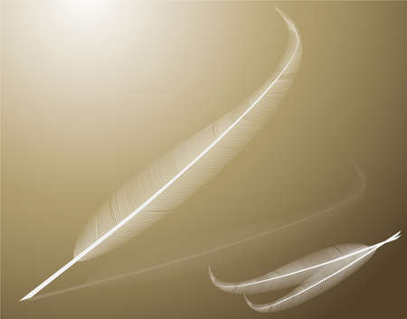 vector bird wing illustrationのイラスト素材