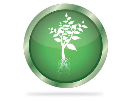 Three Dimensional circle button with tree iconのイラスト素材