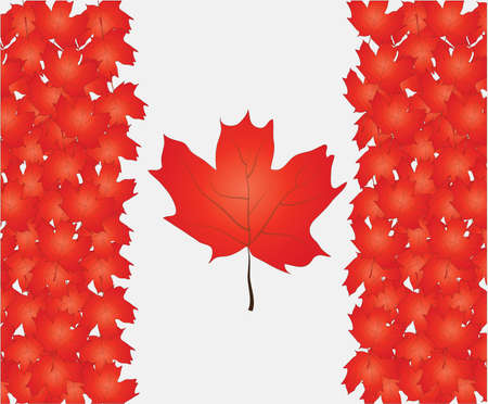 Canada Flag for Independence Day. のイラスト素材
