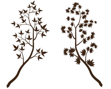 Branch of spring tree isolated on white backgroundのイラスト素材