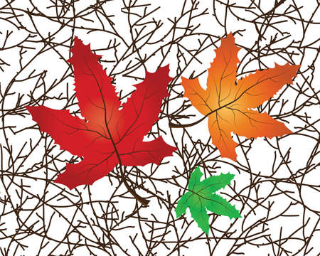 Vector Illustration of a Branch with maple leavesのイラスト素材